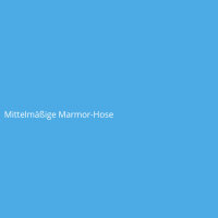 Mittelmäßige Marmor-Hose