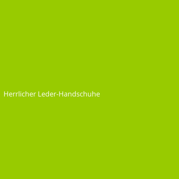 Herrlicher Leder-Handschuhe