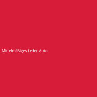 Mittelmäßiges Leder-Auto