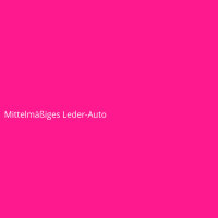 Mittelmäßiges Leder-Auto